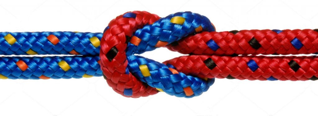 Great stories are born when strong bonds are formed | BLOG | sunSTRATEGIC