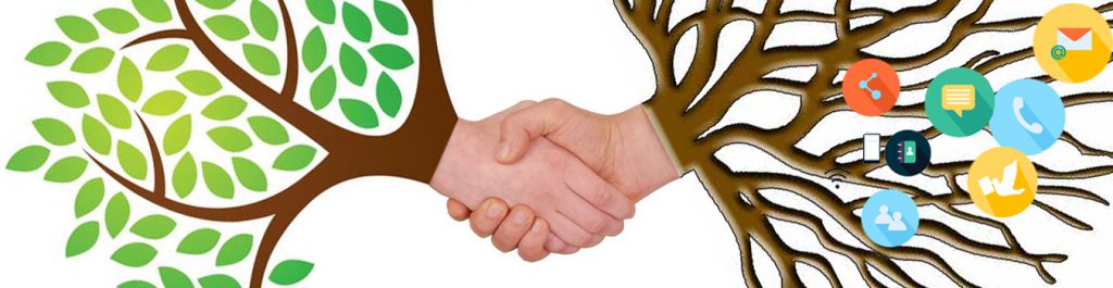 Roots of client-firm relations | BLOG | sunSTRATEGIC